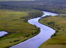 The Apalachicola River delta