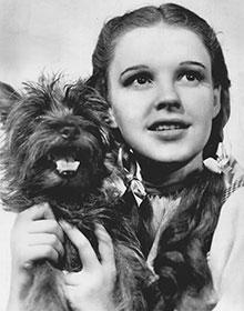 Toto and Dorothy Toto and Dorothy