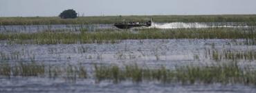 Algae bloom of 2018 on Lake Okeechobee