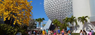 Epcot Epcot