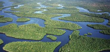 The Florida Everglades