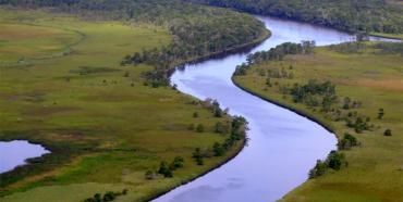 Isaac Lang-Apalachicola River Delta