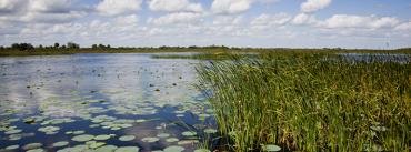 Lake Okeechobee