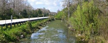 The Tamiami Trail The Tamiami Trail