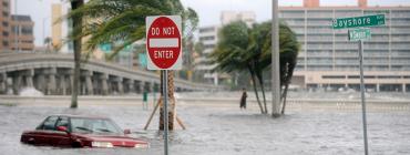 Flooding in Tampa Bay