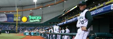 For most home games, you can count the house at Tropicana Field