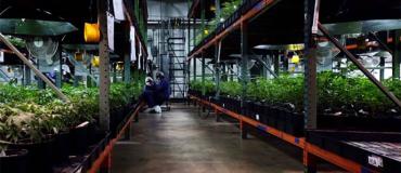Trulieve's medical marijuana warehouse, Quincy Trulieve's medical marijuana warehouse, Quincy