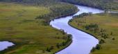 Apalachicola River, known as "America's Most Endangered River"