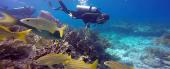 Florida Keys National Marine Sanctuary