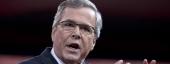 Jeb Bush