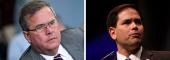 Jeb Bush and Marco Rubio