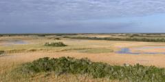 Florida Everglades