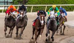 Gulfstream Park this week Gulfstream Park this week