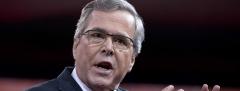 Jeb Bush Jeb Bush