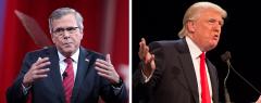 Jeb Bush and Donald Trump