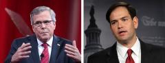 Jeb Bush and Marco Rubio