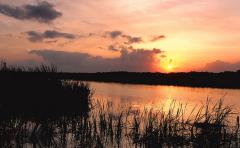 Arthur R. Marshall Loxahatchee National Wildlife Refuge