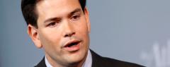 Marco Rubio
