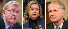 Paul Cook, Ileana Ros-Lehtinen and Ted Poe