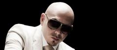 Pitbull Pitbull