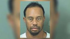 Tiger Woods